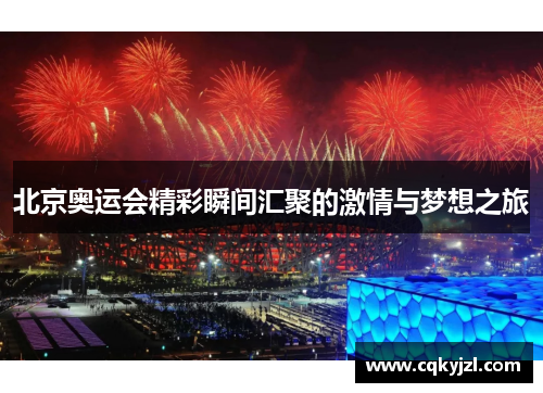 北京奥运会精彩瞬间汇聚的激情与梦想之旅