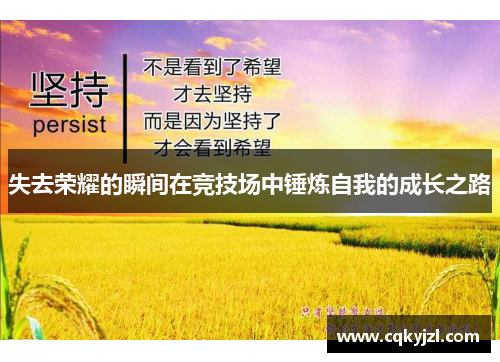 失去荣耀的瞬间在竞技场中锤炼自我的成长之路