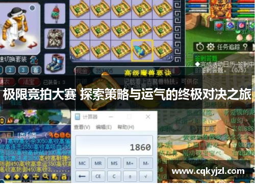 极限竞拍大赛 探索策略与运气的终极对决之旅